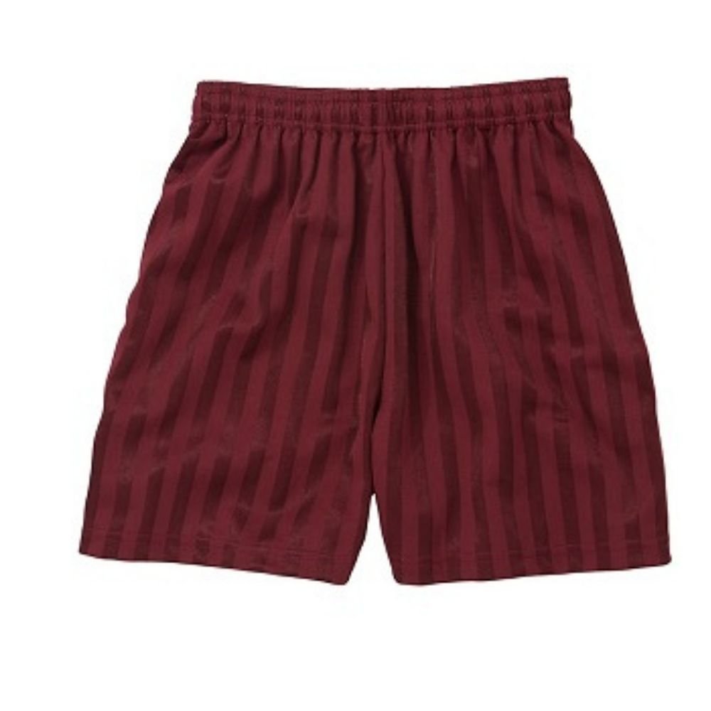 Shadow Stripe PE Shorts - Maroon