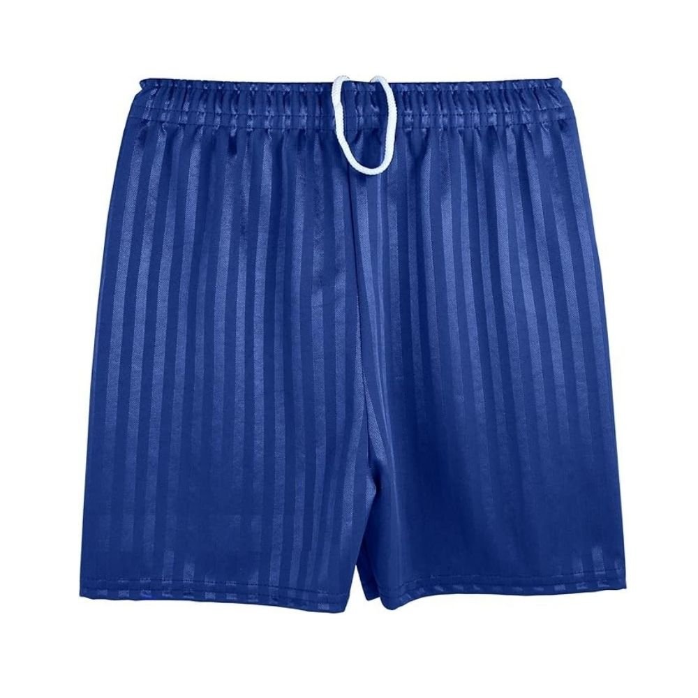 Shadow Stripe PE Shorts - Navy